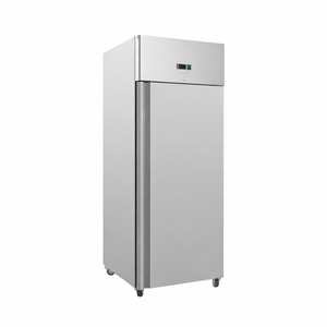 Edelstahl-Kühlschrank Negativ GN2/1 - 650 L - Dynasteel
