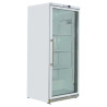 Positieve Glazen Koelkast 590 L 0/+8°C
