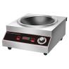 Wok à Induction Pro 3500 W Inox — Zone Concave Ø227