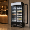 Vitrine voor Dranken 736 L 2 Glazen Deuren 2-8 °C R290