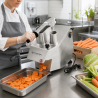 Professionele Groentesnijder 550 W — 2 Trechters, Alu