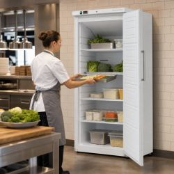 Belüfteter Kühlschrank 527 L +2/+8 °C — Volltür