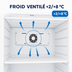 Ventilated Refrigerated Cabinet 527 L +2/+8 °C — Solid Door