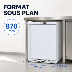 Mini-Kühlschrank Negativ 170 L -18°C Weiß