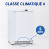 Mini Armoire Réfrigérée Négative 170 L -18°C Blanche