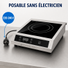 Induction Plate Pro 3500 W 8 Levels Timer | Dynasteel