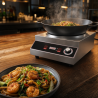 Wok op Inductie Pro 3500 W Inox — Concaaf Gebied Ø227