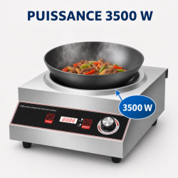 Wok op Inductie Pro 3500 W Inox — Concaaf Gebied Ø227