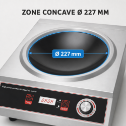 Wok op Inductie Pro 3500 W Inox — Concaaf Gebied Ø227
