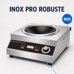 Wok op Inductie Pro 3500 W Inox — Concaaf Gebied Ø227