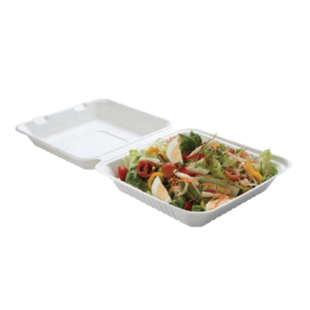 Lunchbox van bagasse met 1 compartiment - Set van 50