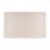 Plateau de Service en Polyester GN1/1 530x325mm Gris  - Roltex - Fourniresto