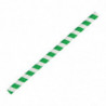 Rietjes voor smoothies van papier - Groen - L 210mm - Set van 250 - Fiesta Green