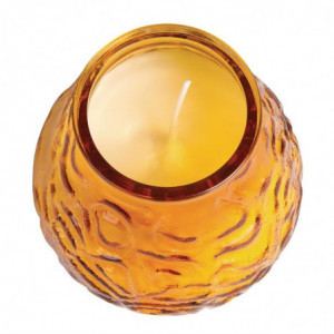 Venetian candles Bolsius Low Boy amber 75 h - Set of 12 - FourniResto - Fourniresto