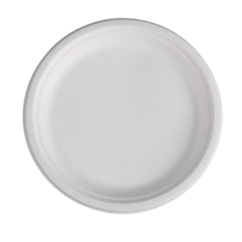 Runder Teller aus Bagasse - 261 x 20,6 mm - Packung mit 50