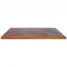 Beschermkap G1, G2, G3, G4 Corten - ARTISS