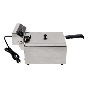 Professionelle Fritteuse 10 L 3000 W Edelstahl — Thermostat