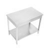 Stainless Steel Table 1200x700 mm with Lower Shelf — Pro CHR
