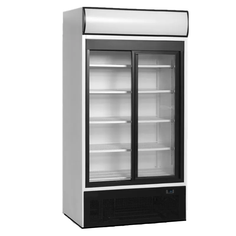 Koelvitrine met Luifel 2 Glazen Deuren - 524 L