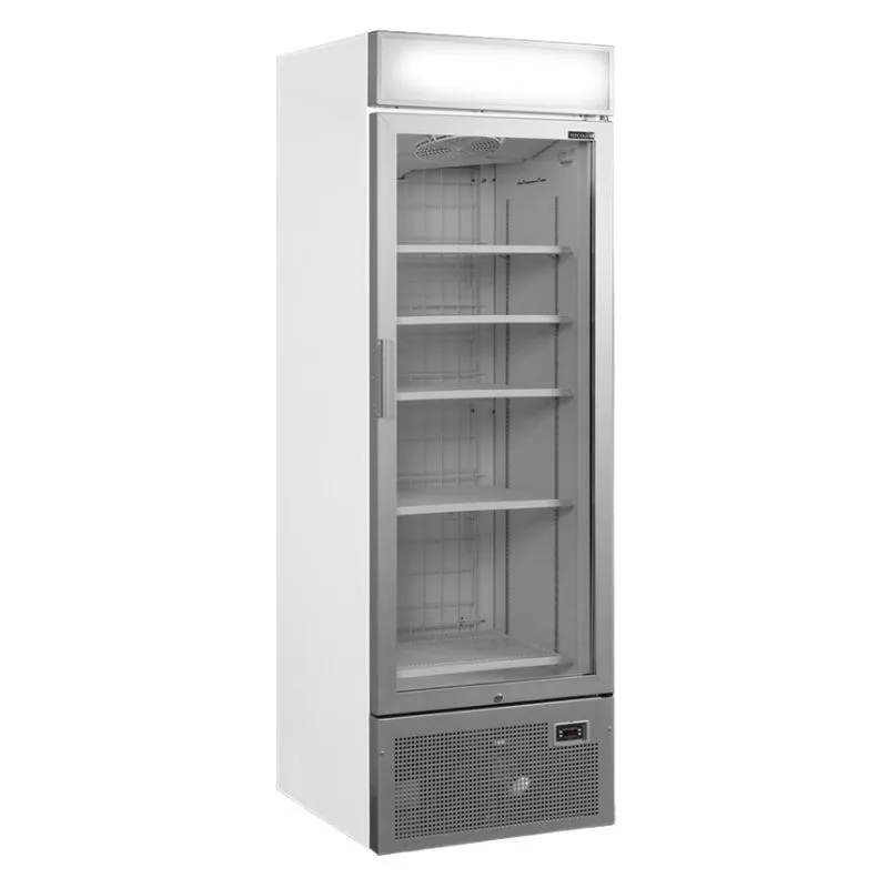 Vitrine Vriezer Glazen Deur met Canopy Zilver - 440 L