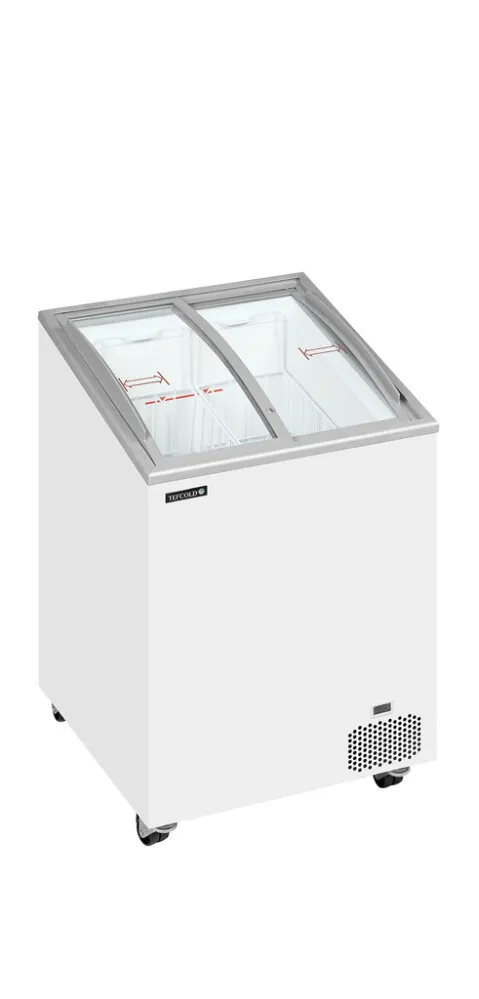 Vriezer Kist voor IJs - 85 L