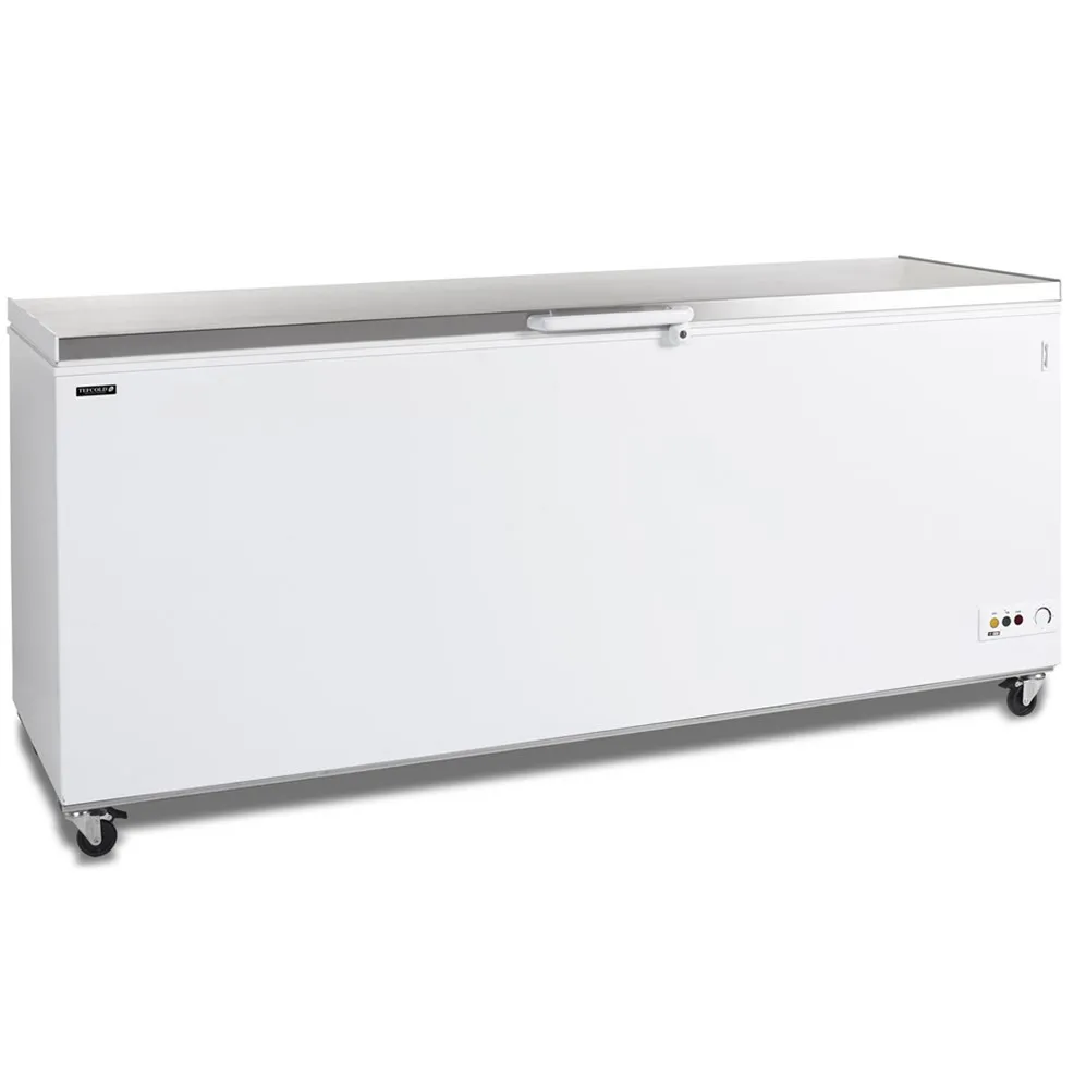 Vriezer Kist met IJsdeksel Inox - 600 L