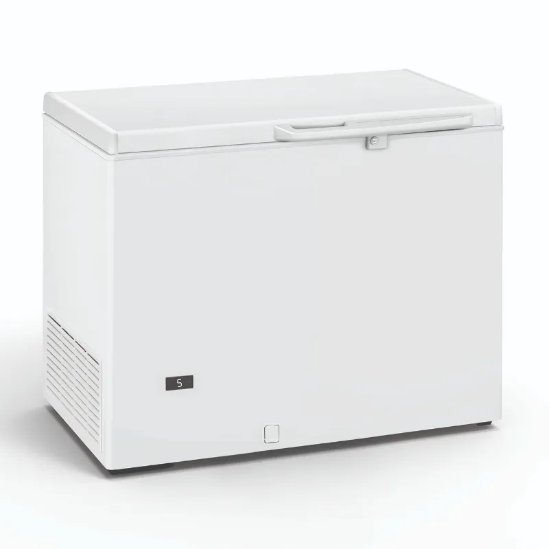 Diepvrieskist Professioneel - 290 L