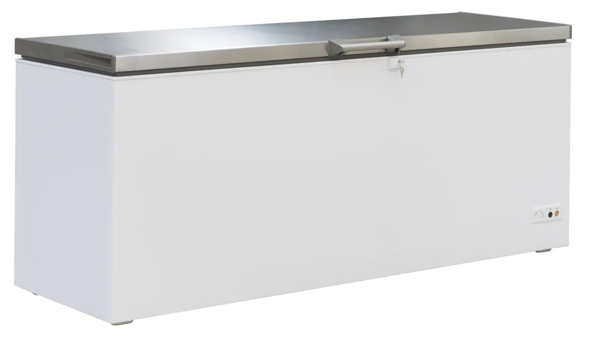 Vrieskist met RVS Deksel - 635 L