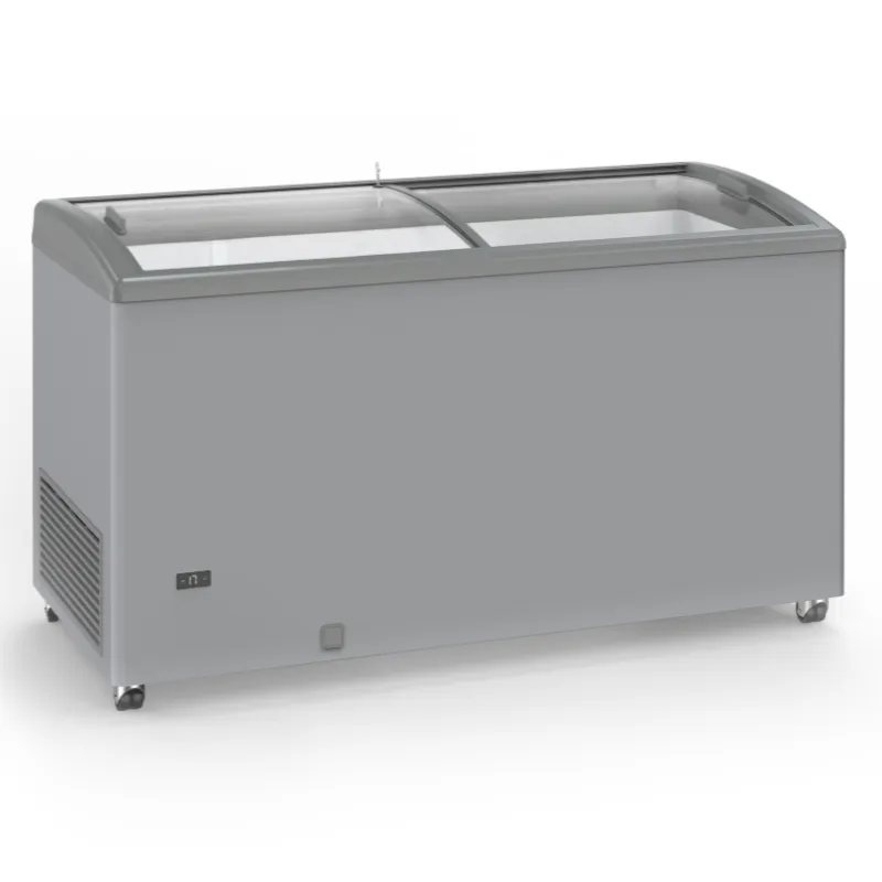 Diepvriezer RVS-look met Glazen Schuifdeuren - 500 L