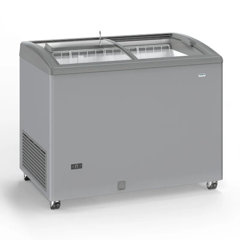 Diepvriezer RVS-look met Glazen Schuifdeuren - 300 L