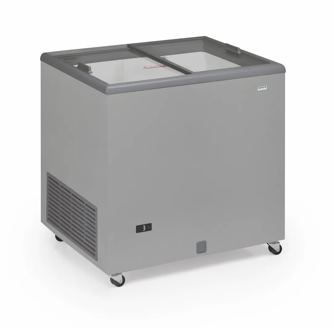 Glazen Schuifdeur Vriezer - 220 L