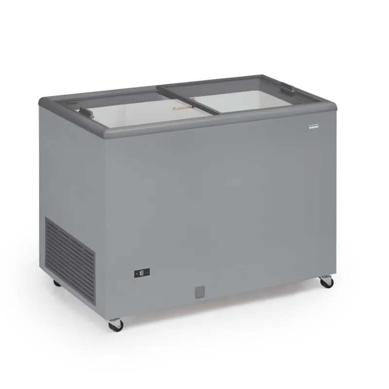 Vriezer met glazen schuifdeuren - 300 L