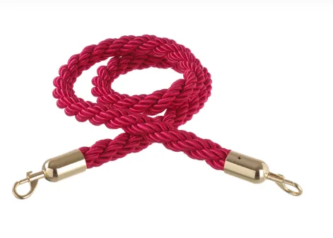 Riem met gouden gespen en lussen