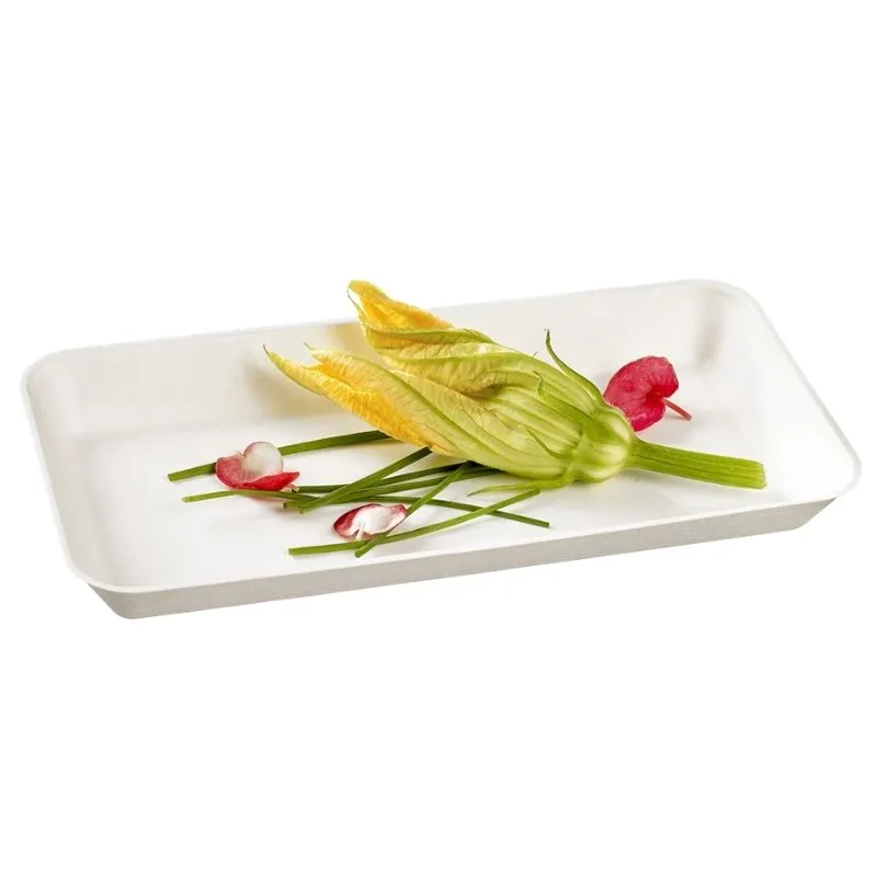 Bord Canopy Wit - 200 x 100 mm - Set van 50
