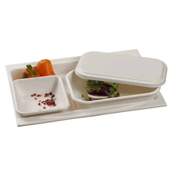 Maaltijd plateau van pulp - 273 x 194 mm - Set van 50